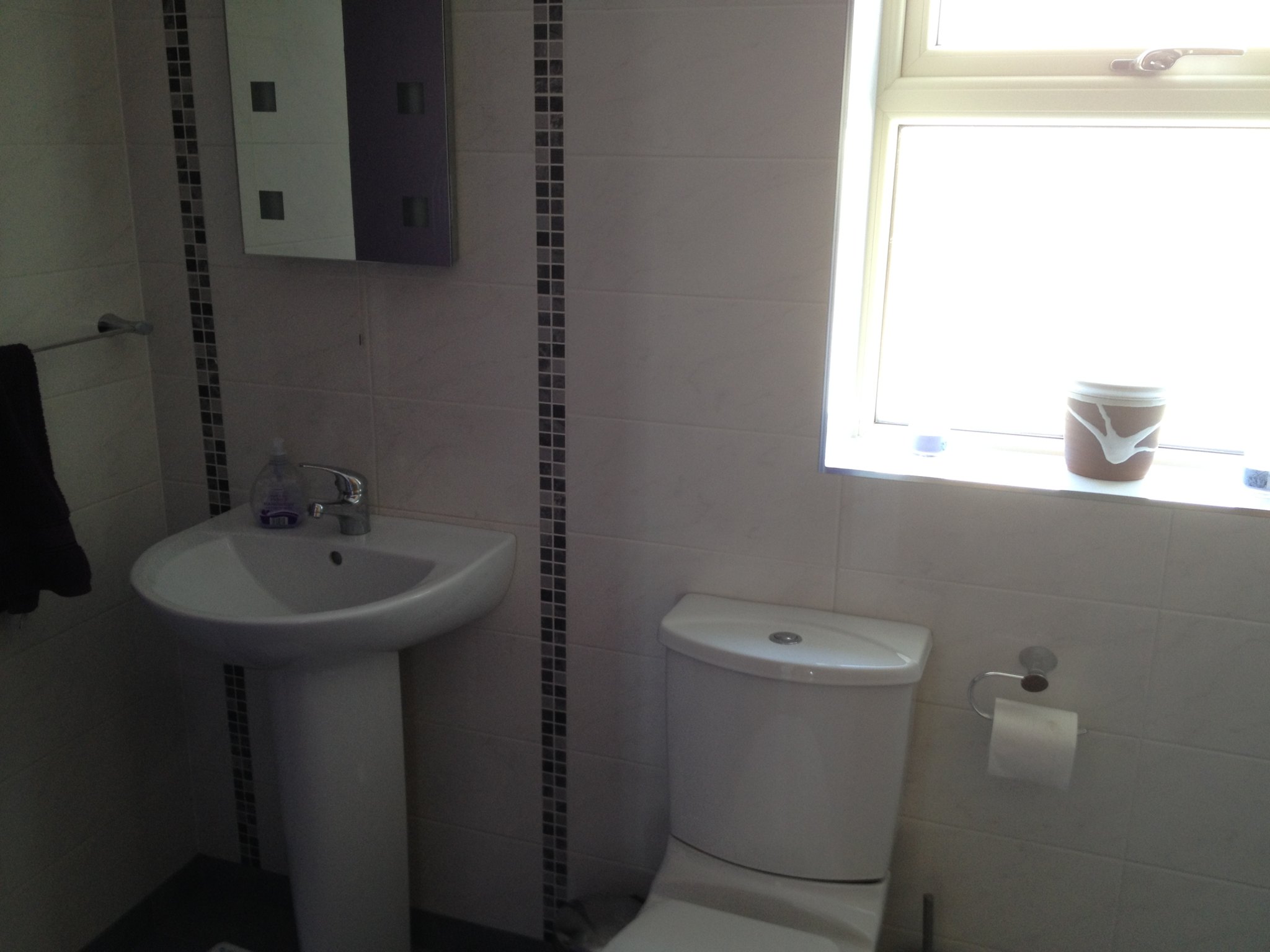 Pedestal basin and toilet with a vertical mosaic strip